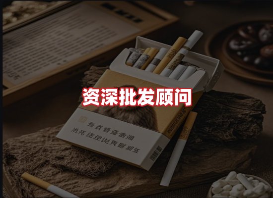 专业团队